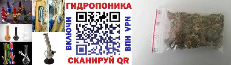 купить  цена  Ужур  Марихуана сатива 